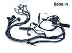 Kabelboom Benelli Tornado 1130 TRE 2006-2014 (TB0200), Motoren, Verzenden, Gebruikt