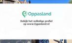 Janke zoekt een oppas in Rosmalen voor 1 kind., Vacatures, Vacatures | Vakantiewerk