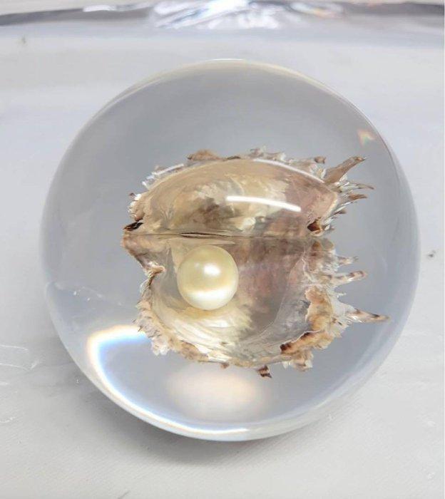 Presse-papier - Pearl Paperweight – Spherical Crystal Ball, Antiek en Kunst, Curiosa en Brocante