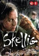 Schaduw van Skellig, de - DVD, Cd's en Dvd's, Verzenden, Nieuw in verpakking