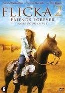 Flicka 2 - DVD, Verzenden, Nieuw in verpakking
