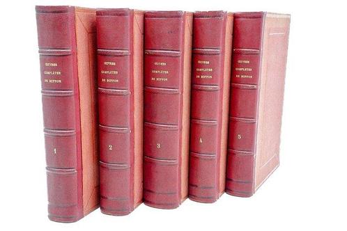 Buffon - Œuvres complètes de Buffon - 1858-1860, Antiek en Kunst, Antiek | Boeken en Bijbels