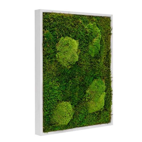 Vintlux Mosschilderij Lappenmos-Bolmos Gebroken Wit - Viborg, Huis en Inrichting, Woonaccessoires | Wanddecoraties