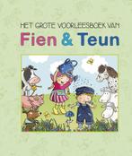 Boek: Fien & Teun - Het grote - (als nieuw), Boeken, Verzenden, Zo goed als nieuw