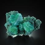 Amazante XXL Groene ALUNITE Kristal Cluster op Matrix