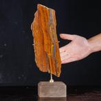 Prachtige Australische tijgeroog sectie. Occhio di Tigre –, Verzamelen