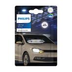 Philips SV8.5 Festoon 43mm Koudwit 6000K 12V, Ophalen of Verzenden, Nieuw