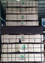 Betonplex 9, 15 mm anti slip, Doe-het-zelf en Verbouw, Ophalen, Nieuw, Betonplex, Minder dan 20 mm