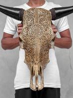 Geen veilingprijs - Grote bruine gesneden stierenhoofdsk, Antiek en Kunst