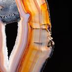 Buitengewone Agata Slice - Artistieke basis van hout en, Nieuw