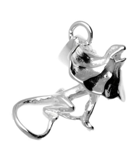 Zilveren Dinosaurus met kraag kettinghanger, Sieraden, Tassen en Uiterlijk, Kettinghangers, Verzenden