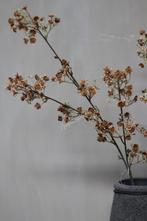 Brynxz lange gips tak Momba Brown 106 cm, Huis en Inrichting, Woonaccessoires | Kunstplanten en Kunstbloemen, Ophalen of Verzenden
