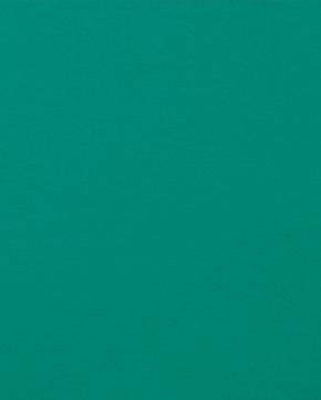 Punta di Roma Gras Groen, Hobby en Vrije tijd, Stoffen en Lappen, Groen, Nieuw