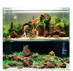 Maple Leaf stone 10-20cm - aquarium decoratie stenen, Dieren en Toebehoren, Vissen | Aquaria en Toebehoren, Verzenden, Nieuw