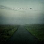 Tessa Posthuma de Boer - Walks #1, Antiek en Kunst