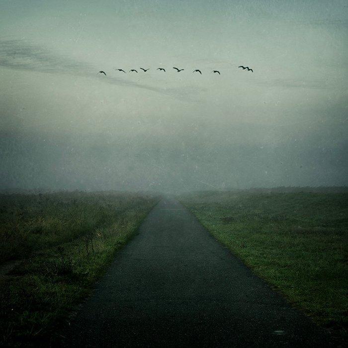 Tessa Posthuma de Boer - Walks #1, Antiek en Kunst, Kunst | Designobjecten