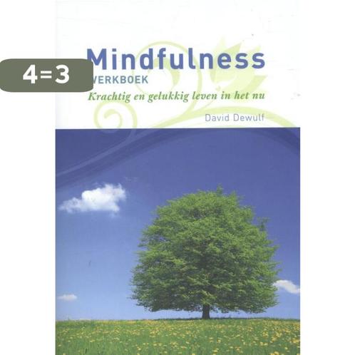 Mindfulness werkboek 9789082428308 David Dewulf, Boeken, Psychologie, Zo goed als nieuw, Verzenden