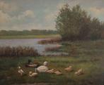 Landheer (XX) - Eenden in de rust., Antiek en Kunst