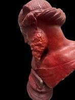 sculptuur, Busto di Platone, detto Dioniso - 61 cm - Was