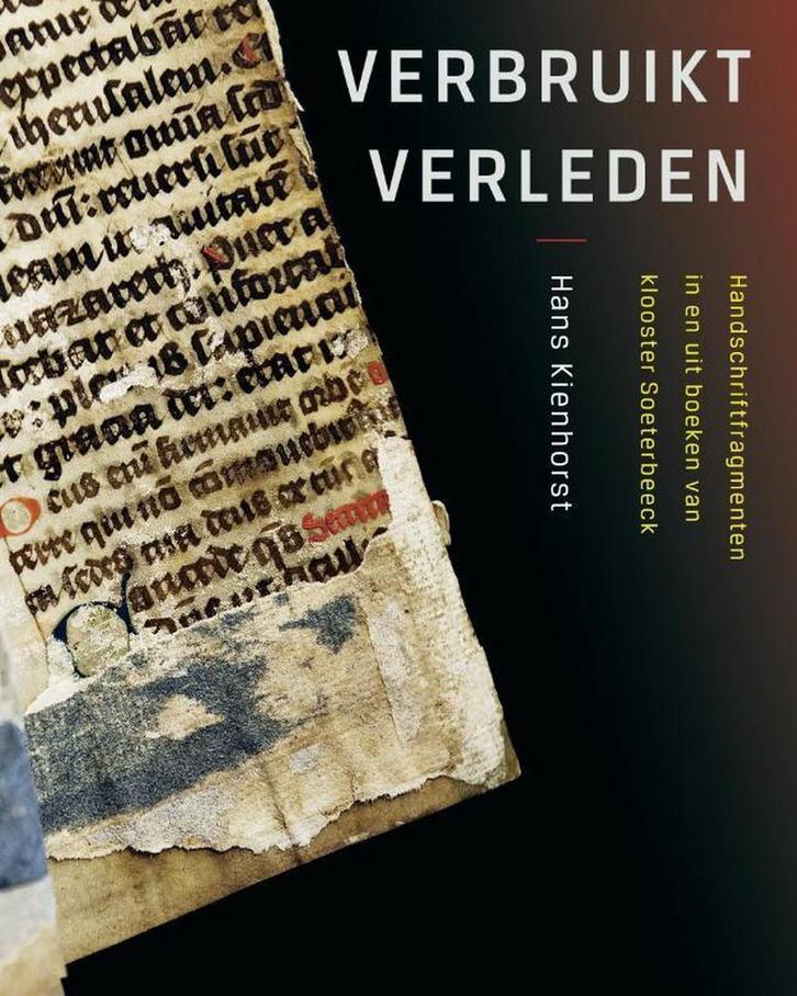 Verbruikt verleden / Nijmeegse kunsthistorische Cahiers / 16, Boeken, Kunst en Cultuur | Beeldend, Gelezen, Verzenden
