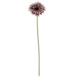 Gerbera Dry Colour Mauve Zijden 53 cm per stuk, Huis en Inrichting, Woonaccessoires | Kunstplanten en Kunstbloemen, Ophalen of Verzenden