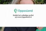 Ik ben Gwen, 16 jaar oud en ik zoek oppaswerk in Venlo.