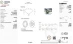 1 pcs Diamant (Natuurlijk) - 1.00 ct - Ovaal - I - VVS2 -, Nieuw