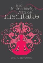 Het kleine boekje van de meditatie 9789045314396, Boeken, Verzenden, Zo goed als nieuw, Colum Hayward