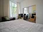 Studio Herbenusstraat in Maastricht, Overige soorten, Limburg