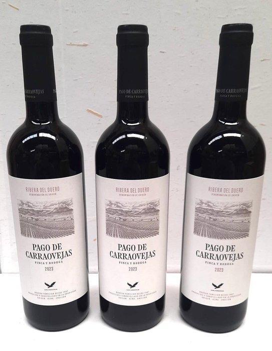 2023 Pago de Carraovejas - Ribera del Duero - 3 Flessen, Verzamelen, Wijnen