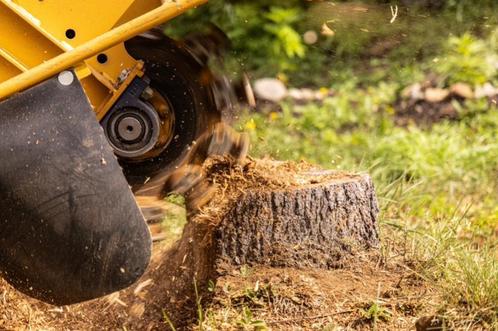 Boomstronken verwijderen met stobbenfrees, Diensten en Vakmensen, Tuinmannen en Stratenmakers, Bestrating, Hekwerk of Schuttingen