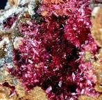 Eerste kwaliteit diep magenta gemmy Erythrite kristallen op, Verzamelen, Mineralen en Fossielen