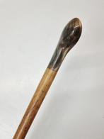 Wandelstok - Hoorn, Hout, Antiek en Kunst