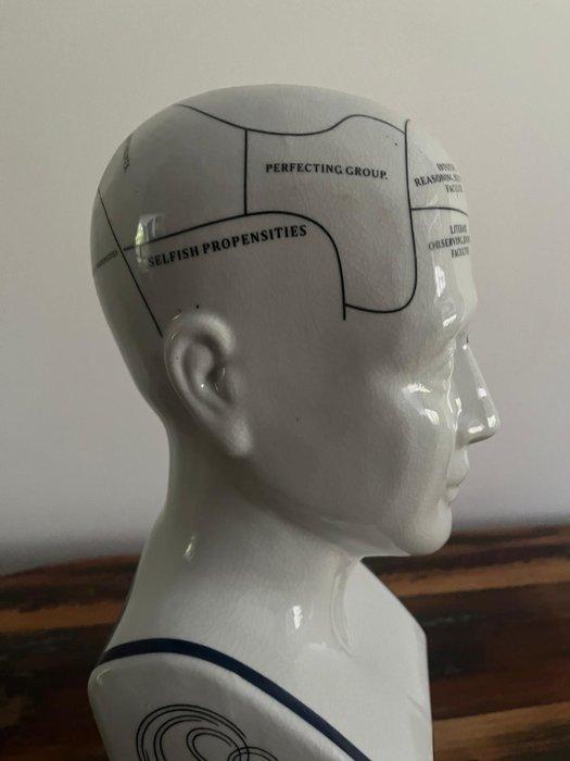 Medisch instrument - Porselein - Schedel leer - Phrenology, Antiek en Kunst, Antiek | Wandborden en Tegels