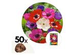 Anemoon bloembollen  de Caex Mix - set van 50 bollen, Huis en Inrichting, Kamerplanten, Verzenden