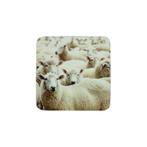 onderzetter schapen 10x10cm (6), Nieuw, Verzenden