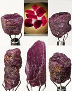 111,91 ct - Prachtige partij korund, variëteit ruby,