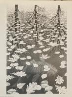 M.C. Escher (1898-1972) - De drie werelden, Antiek en Kunst