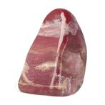 Versteend hout sculptuur nr 30 - 742 gram, Verzenden, Nieuw