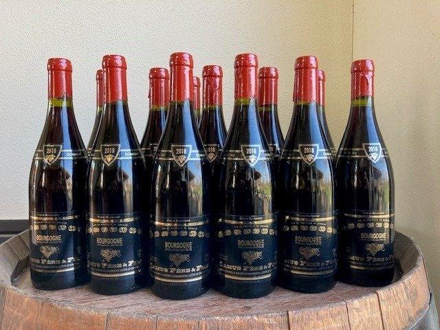 2020 Bourgogne Rouge - Domaine Camus - Bourgogne - 12, Verzamelen, Wijnen