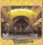 3 inch cds - Staalplaat Sound System - Sweet Sissy And Th..., Verzenden, Zo goed als nieuw