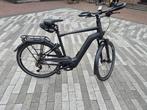 PEGASUS Premio EVO 10 Lite Comfort – 750 Wh | 60 cm | 2024, Fietsen en Brommers, Elektrische fietsen, 59 cm of meer, Ophalen of Verzenden