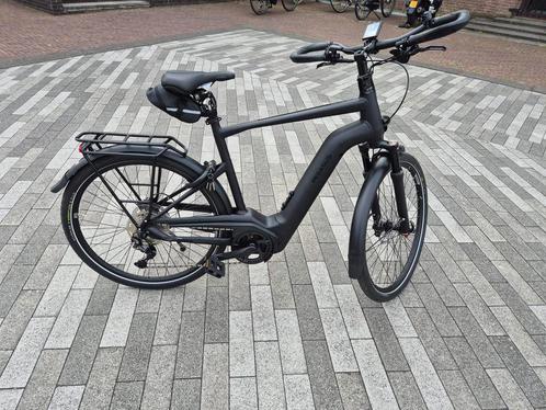 PEGASUS Premio EVO 10 Lite Comfort – 750 Wh | 60 cm | 2024, Fietsen en Brommers, Elektrische fietsen, 50 km per accu of meer, Nieuw