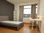 Kamer Vreeswijkstraat in Den Haag, Overige soorten, Zuid-Holland