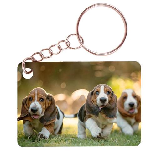 Sleutelhanger 6x4cm - Basset Hounds Lopend op Gras NIEUW, Verzamelen, Sleutelhangers, Nieuw, Ophalen of Verzenden