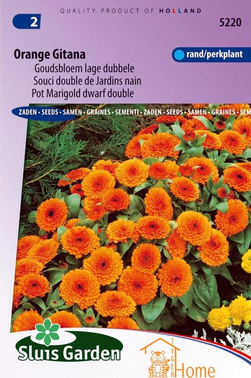 Orange Gitana Goudsbloem Lage Dubbele Bloemen Zaden voor de, Tuin en Terras, Bloembollen en Zaden, Verzenden