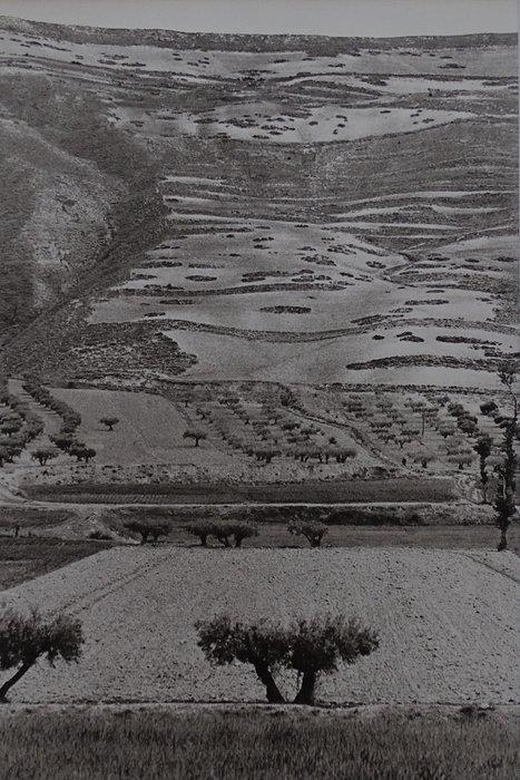 Henri Cartier-Bresson (1908–2004) - Castilla, Spain, Antiek en Kunst, Kunst | Designobjecten