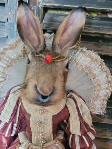 Haas Taxidermie volledige montage - Lepus europaeus - 64 cm beschikbaar voor biedingen
