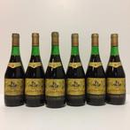 1966 Bodegas Campo Viejo - Rioja Reserva - 6 Flessen (0.75, Nieuw