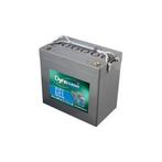 Dyno Gel Accu 59Ah 12V Dgy12-55Ev 229X138X214Mm, Auto-onderdelen, Accu's en Toebehoren, Verzenden, Nieuw